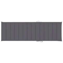 Chaise Longue Avec Coussin Bois D'acacia Solide 2 21 Chaise Longue Avec Coussin Bois D'acacia Solide 2 -Chair Soldes Boutique chaise longue avec coussin bois d acacia solide 3666722932240 841533